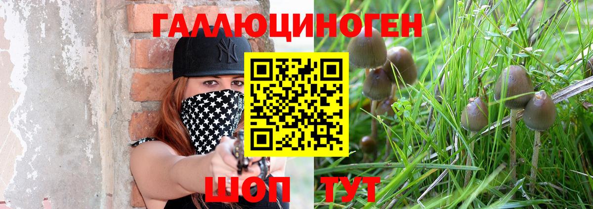 Галлюциногенные грибы прущие грибы Тольятти