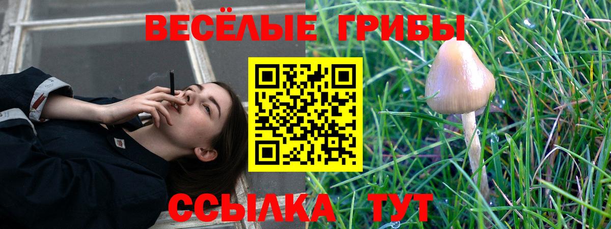 наркотики  Вход с VPN  Тольятти  Галлюциногенные грибы прущие грибы  Галлюциногенные грибы Psilocybe 
